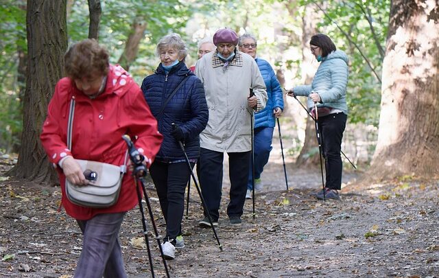 Sådan vælger du den rigtige vandrestav: En guide til begyndere